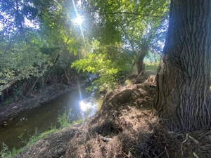 Casă Săcel 120 mp utili, teren 1100 mp si pârâu - imagine 14