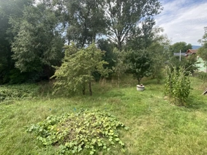 Casă Săcel 120 mp utili, teren 1100 mp si pârâu - imagine 12