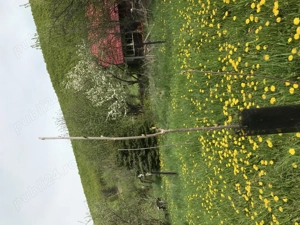 Casa de vacanta in zona deosebita- Ozun - imagine 6