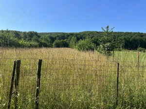 Casa de vacanta- Ozun, 30 km de Brasov - imagine 4