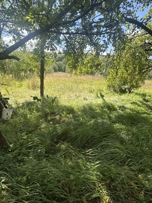 Casa de vacanta in zona deosebita- Ozun - imagine 5