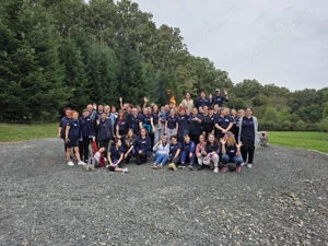 Reprezentant Medical   Domeniul Orteze și Proteze