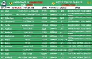 Soferi profesionisti de camion - imagine 2