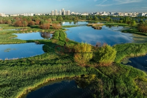 Delta Vacaresti - Vitan - Garsoniera