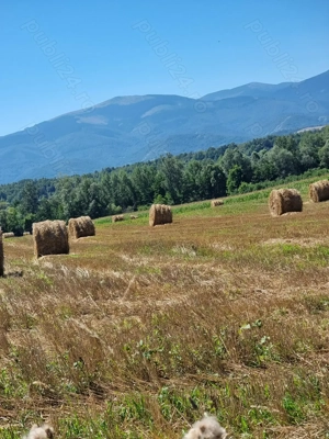 Vând baloti de paie 