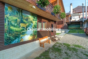 Complex turistic de vânzare, chiar în centrul staţiunii Durău. - imagine 9