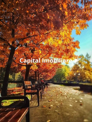 Complex turistic de vânzare, chiar în centrul staţiunii Durău. - imagine 18