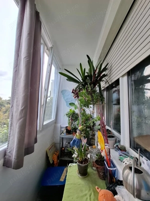 Vanzare AP. 2 camere PODGORIA Arad - imagine 8