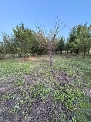 Teren intravilan Aghiresu Fabrici Jud Cluj  25 km Cluj Napoca - imagine 8