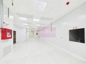 Spatiu Industrial | Comercial Dristor VITAN | RACARI - imagine 4 Spatiu Industrial | Comercial Dristor VITAN | RACARI - imagine 4