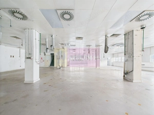 Spatiu Industrial | Comercial Dristor VITAN | RACARI