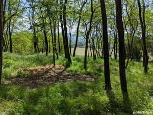 Vand teren intravilan in Bujoreni  - imagine 4