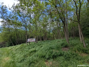 Vand teren intravilan in Bujoreni  - imagine 2