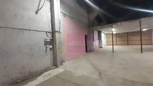 Spațiu pentru activități de producție și depozitare Giurgiului - imagine 10