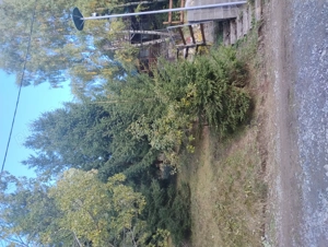 Teren intravilan stațiunea Muntele Băișorii 