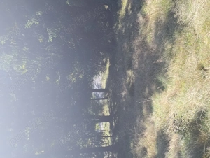 Teren intravilan stațiunea Muntele Băișorii  - imagine 5