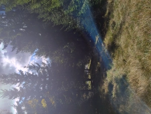 Teren intravilan stațiunea Muntele Băișorii  - imagine 8