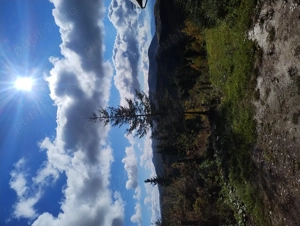 Teren intravilan stațiunea Muntele Băișorii  - imagine 4