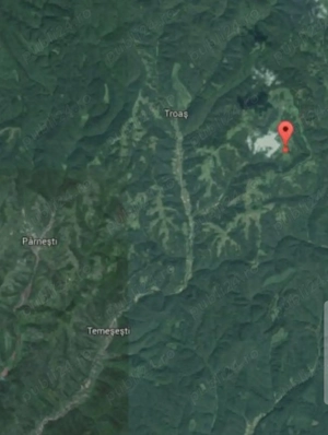 Vindem sau oferim spre arendare 88,85 hectare pășune în comuna Petriș, jud. Arad