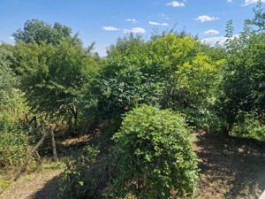 Casa in mediu rural cu teren - imagine 18