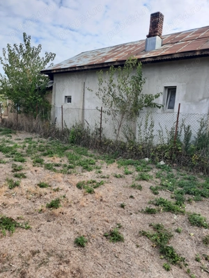 Vind casa si teren in Colacu Dimbovita - imagine 4