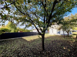 Vila individuala in Vorovesti-Miroslava - imagine 16