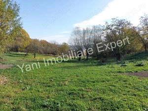 Teren de vânzare, în sat Blaju, comuna Tigveni, Judet Arges. - imagine 5