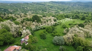 Teren de vânzare, în sat Blaju, comuna Tigveni, Judet Arges. - imagine 4