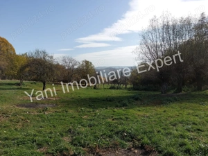 Teren de vânzare, în sat Blaju, comuna Tigveni, Judet Arges. - imagine 8