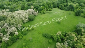 Teren de vânzare, în sat Blaju, comuna Tigveni, Judet Arges. - imagine 11