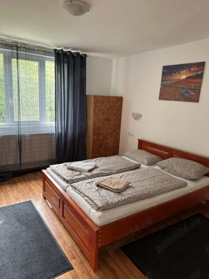 De inchiriat cabana pentru Revelion ! - imagine 2