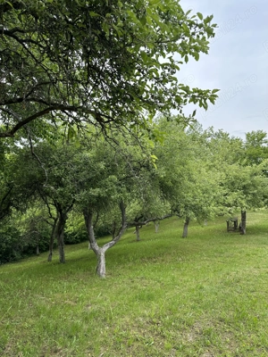 De inchiriat cabana pentru Revelion ! - imagine 7