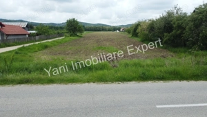 Teren 10.000 mp de vânzare în comuna Ciofrângeni, Judet Argeș. - imagine 6