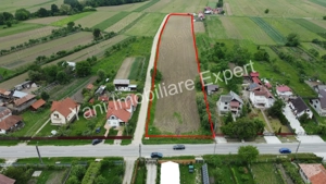 Teren 10.000 mp de vânzare în comuna Ciofrângeni, Judet Argeș. - imagine 2