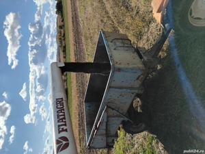 Floarea soarelui de vânzare 