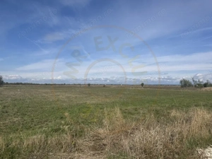 Teren intravilan 3700 mp  - zona linistita - imagine 2