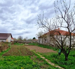 Casă de vânzare cu 3 camere aproape de Băile Sărate - Ocna Mureș - imagine 3