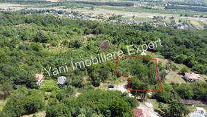 Teren de vânzare în comuna Băiculești, județ Argeș. - imagine 10