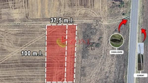 TEREN BRANESTI pentru  MICA DEZVOLTARE IMOBILIARA.