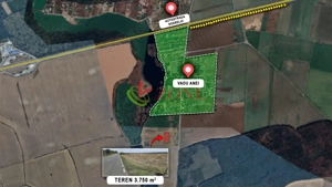 TEREN BRANESTI pentru  MICA DEZVOLTARE IMOBILIARA. - imagine 3