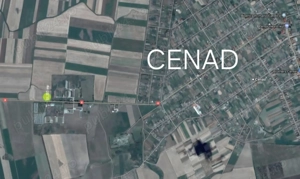 De arendat terenuri agricole în județul Timiș - imagine 4