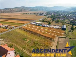 2.460 mp, teren intravilan, acces facil, Ghelinta, Covasna - imagine 5