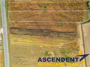 2.460 mp, teren intravilan, acces facil, Ghelinta, Covasna - imagine 4