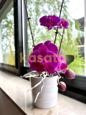 3 camere premium cu balcon generos | Natura Residence Băneasa - imagine 16