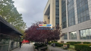 TRIBUNALUL BUCURESTI