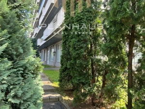 Spatiu comercial V.Alecsandri ,120 mp ,ideal activitati comerciale /cabinete - imagine 2