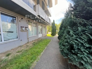 Spatiu comercial V.Alecsandri ,120 mp ,ideal activitati comerciale /cabinete