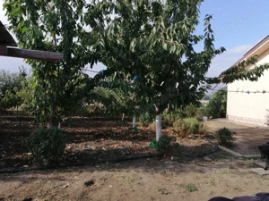 Casa de vanzare  - imagine 6