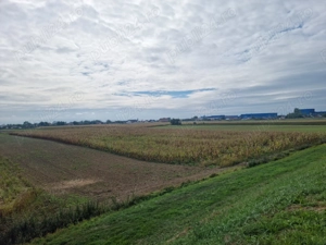 Vând teren intravilan agricol 76 ari - imagine 2