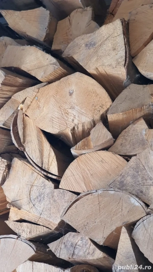 vând lemne pentru centrală - imagine 4